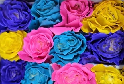 Tinted rose — Tie-dye