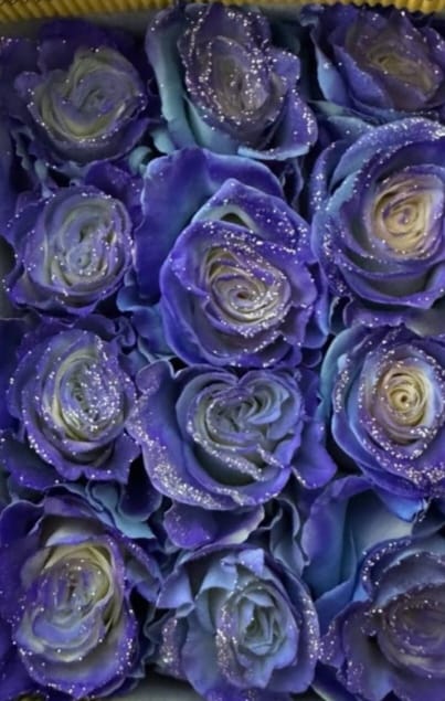Tinted rose — Purple glitter