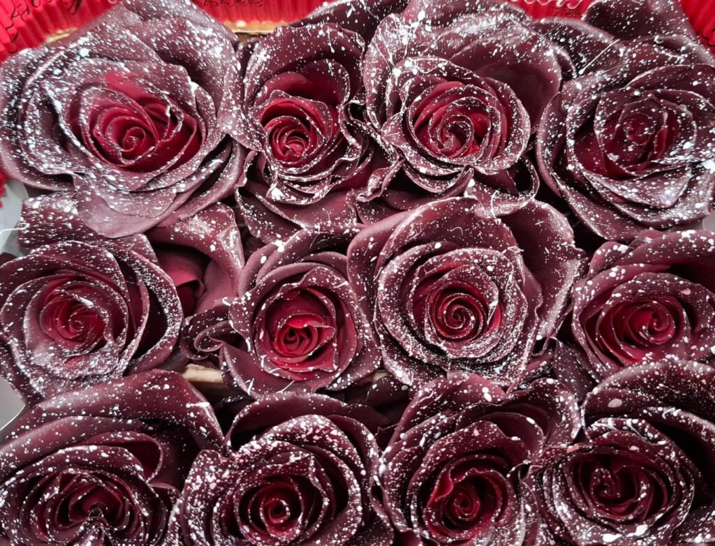 Tinted rose — Burgundy speckled